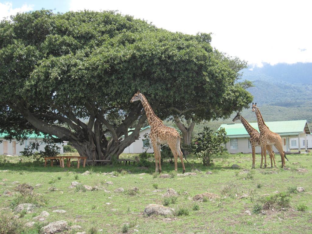 Nature Homes - Africa Amini Life Nkoanrua Exterior photo